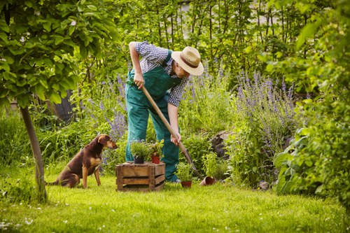 Man and van parked at a terraced house for garden clearance