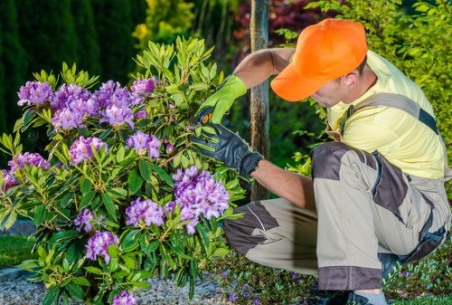 Gardener Fitzrovia designing a community park